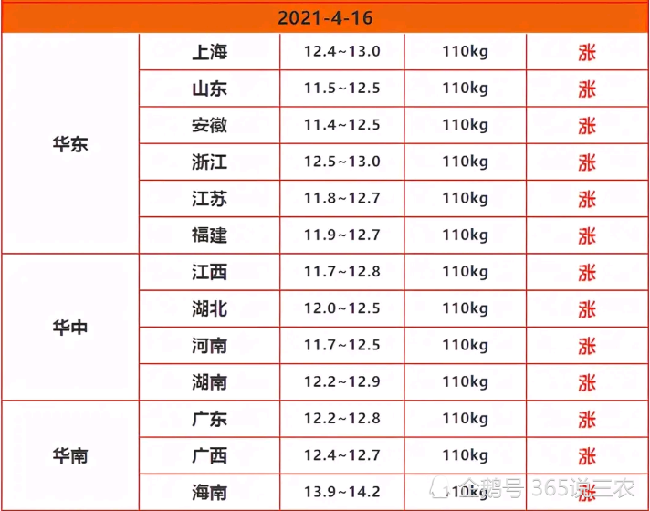 今日生猪价格动态更新，市场走势分析与预测报告